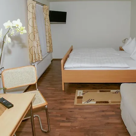 Hofbauer Guest house *