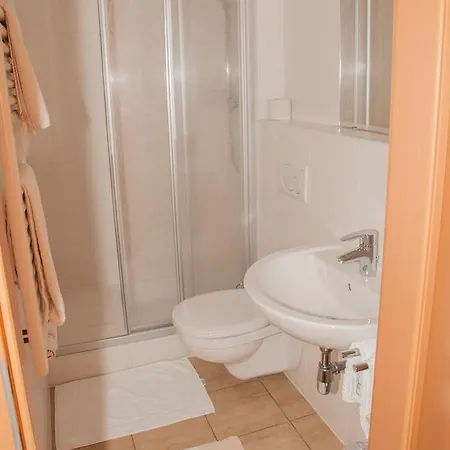 Hofbauer 3* Schwanenstadt