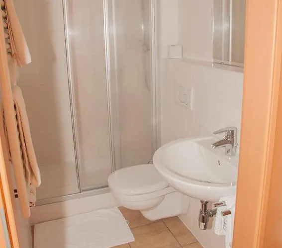 Hofbauer 3* Schwanenstadt